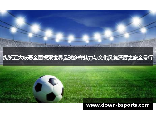 纵览五大联赛全面探索世界足球多样魅力与文化风貌深度之旅全景行