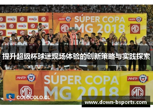 提升超级杯球迷现场体验的创新策略与实践探索