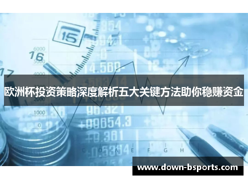 欧洲杯投资策略深度解析五大关键方法助你稳赚资金