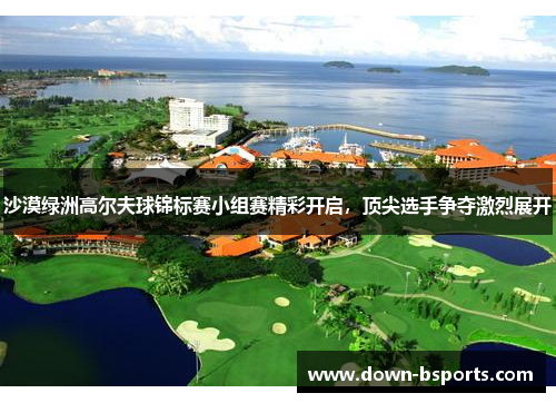 沙漠绿洲高尔夫球锦标赛小组赛精彩开启,顶尖选手争夺激烈展开 沙漠绿洲高尔夫球锦标赛小组赛精彩开启,顶尖选手争夺激烈展开