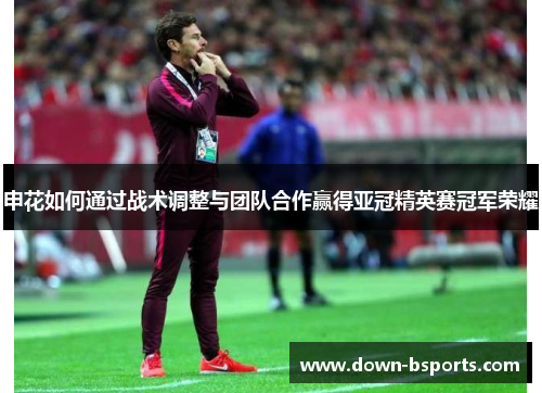 申花如何通过战术调整与团队合作赢得亚冠精英赛冠军荣耀 申花如何通过战术调整与团队合作赢得亚冠精英赛冠军荣耀