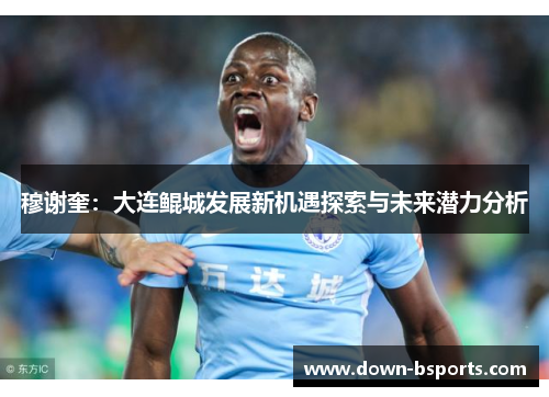 穆谢奎：大连鲲城发展新机遇探索与未来潜力分析