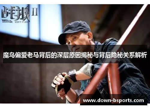 魔鸟偏爱老马背后的深层原因揭秘与背后隐秘关系解析 魔鸟偏爱老马背后的深层原因揭秘与背后隐秘关系解析