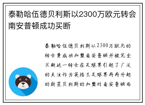 泰勒哈伍德贝利斯以2300万欧元转会南安普顿成功买断